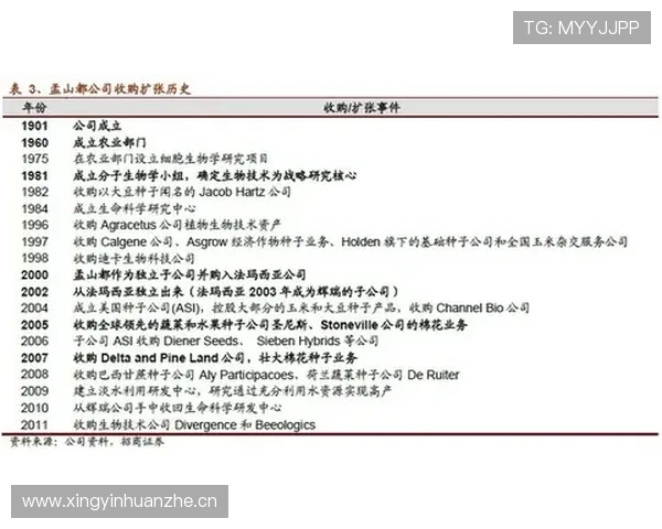 加纳乔早期高光表现与团队成绩关联分析